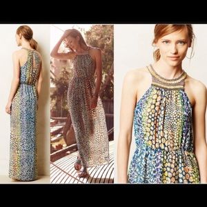 HD in Paris Anthropologie Dress